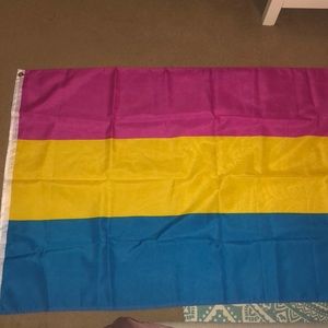{3 for $18} Pansexual Pride Flag